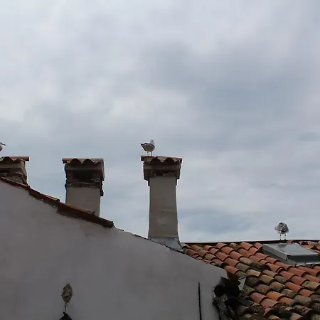 Da Leona Old City Apartment