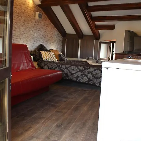 Da Leona Old City Apartment Rovinj